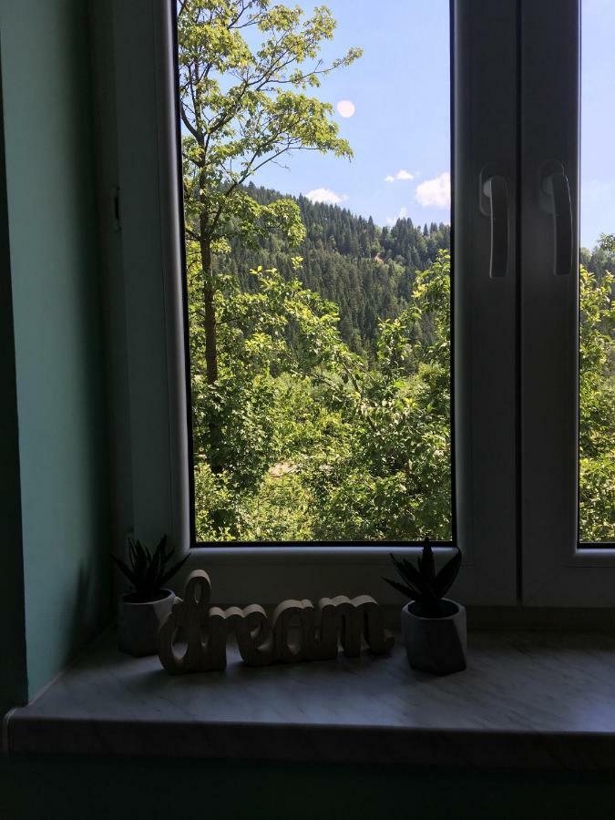 Pokoje Goscinne Pod Jaworem - Obok Pieknego Szlaku Wzdluz Rzeki Bialka, 1Km Do Stokow Kotelnica Экстерьер фото